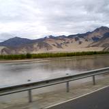 PM09 1001,11253