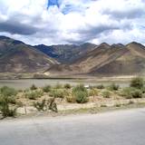 PM09 1001,11439