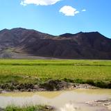 PM09 1001,15473