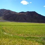 PM09 1001,15474