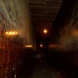 PM09 1001,13388