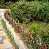PM09 1001,14620