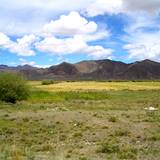 PM09 1001,14608