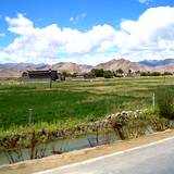 PM09 1001,14592