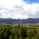 PM09 1001,14068