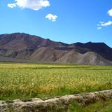 PM09 1001,15470