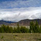 PM09 1001,12993