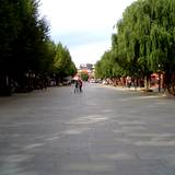 PM09 1001,14637