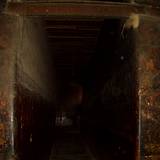 PM09 1001,13064