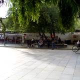 PM09 1001,14685