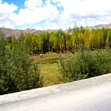PM09 1001,14593