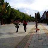 PM09 1001,14661