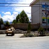PM09 1001,14589