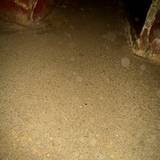 PM09 1001,13247