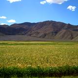 PM09 1001,15471