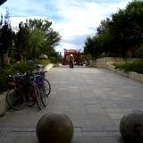 PM09 1001,14686