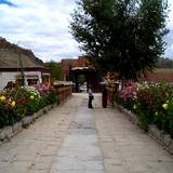 PM09 1001,13019