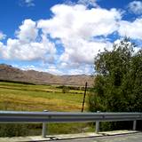PM09 1001,14594