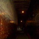 PM09 1001,13399