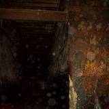 PM09 1001,13246