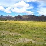 PM09 1001,14607