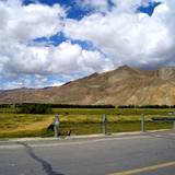 PM09 1001,14595