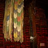 PM09 1001,13402