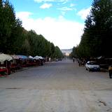 PM09 1001,13627