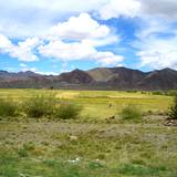 PM09 1001,14609