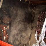 PM09 1001,13482