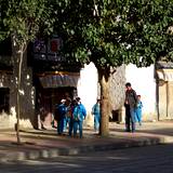 PM09 1001,13661