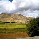 PM09 1001,14596