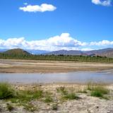 PM09 1001,15477