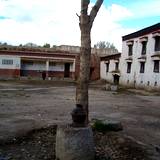 PM09 1001,13616