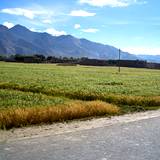 PM09 1001,14761