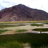 PM09 1001,14908