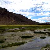 PM09 1001,14904