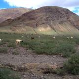 PM09 1001,14939