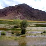 PM09 1001,14907