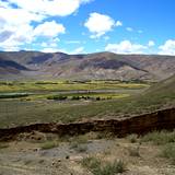 PM09 1001,14977
