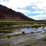 PM09 1001,14903