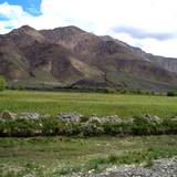 PM09 1001,14932