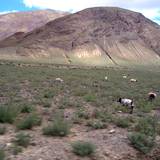 PM09 1001,14940