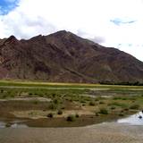 PM09 1001,14917