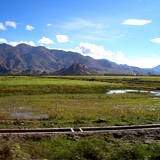 PM09 1001,14768