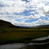 PM09 1001,14920