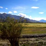 PM09 1001,14766