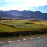 PM09 1001,14749
