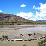 PM09 1001,15001
