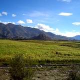 PM09 1001,14767